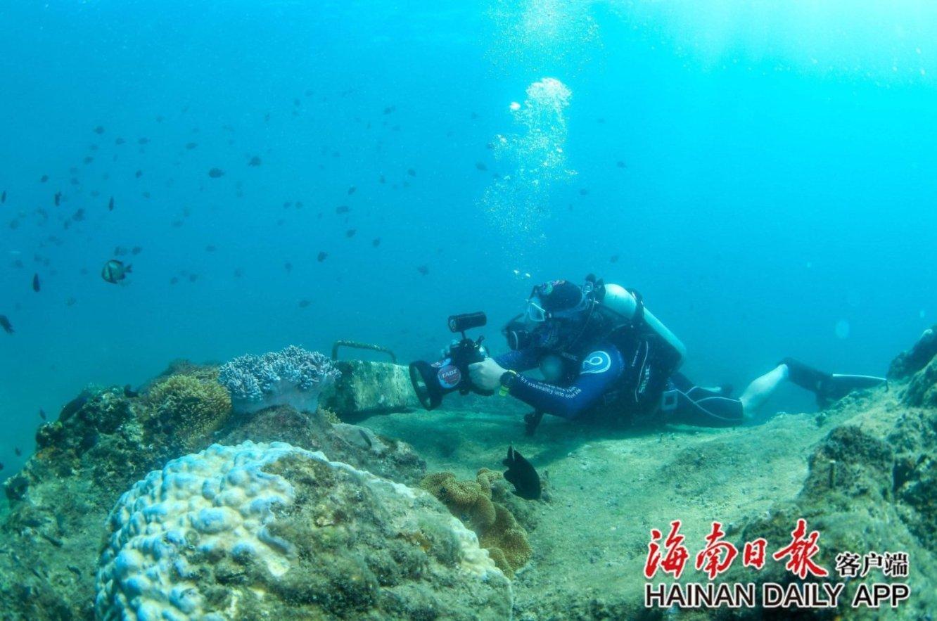 白所成等10名缅北重大犯罪嫌疑人被押解回国